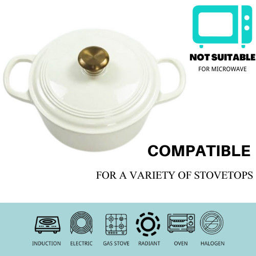 Forno holandês livre da caçarola 21/22cm do ferro fundido da oxidação para 2-4 pessoas