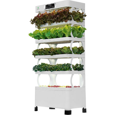 Veggiefloe Smart Hydroponic Vegetable System - A melhor escolha para vegetais caseiros saudáveis