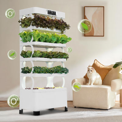 Sistema hidropônico Veggiefloe para escolas: aprendizagem prática e alimentação saudável para crianças